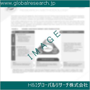 グローバルリサーチ調査資料のイメージ